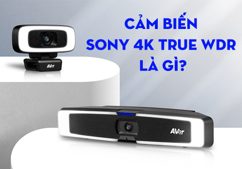 Cảm biến Sony 4K True WDR là gì?